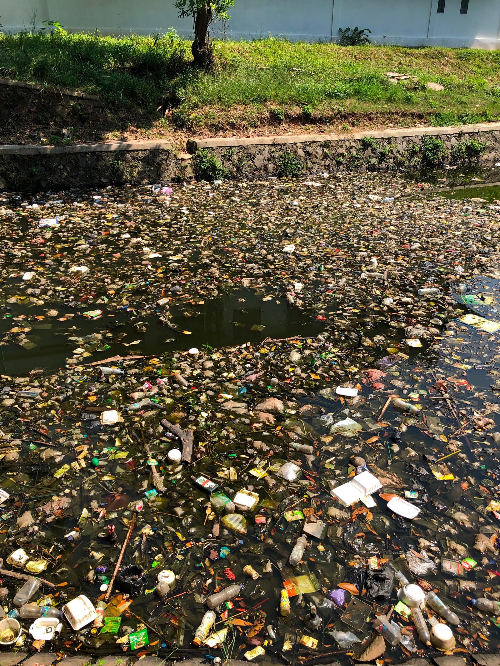 Kenapa Sampah Plastik Butuh Ratusan Tahun untuk Terurai